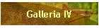 Galleria IV