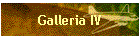 Galleria IV