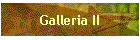 Galleria II