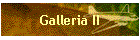 Galleria II