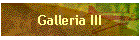 Galleria III