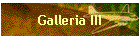 Galleria III