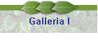 Galleria I